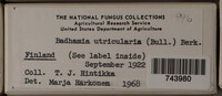 Image Associated With the Occurence